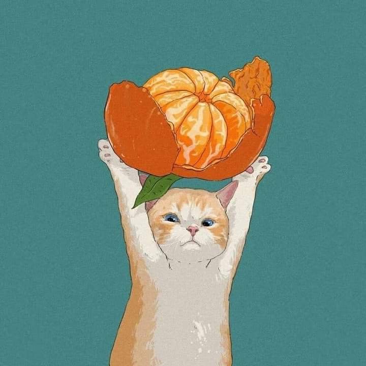 5bb647c0-fe88-4b90-91e6-64cb2d4059d0